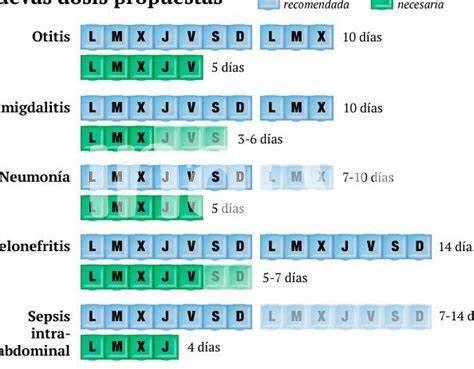 Lo Que Debes Saber Sobre Alergias